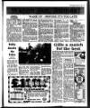 South Eastern Gazette Tuesday 03 February 1981 Page 23