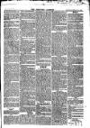 Newport Gazette Saturday 09 February 1861 Page 3