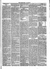 Newport Gazette Saturday 16 March 1861 Page 5