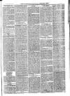 Woodbridge Reporter Thursday 15 July 1869 Page 3