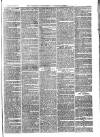 Woodbridge Reporter Thursday 15 July 1869 Page 7