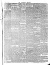 Woodbridge Reporter Thursday 06 September 1877 Page 5