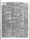 Woodbridge Reporter Thursday 23 May 1895 Page 7