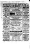 Commercial, Shipping & General Advertiser for West Cornwall Saturday 10 August 1867 Page 2