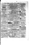 Commercial, Shipping & General Advertiser for West Cornwall Saturday 10 August 1867 Page 3