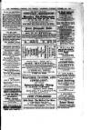 Commercial, Shipping & General Advertiser for West Cornwall Saturday 19 October 1867 Page 3