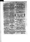 Commercial, Shipping & General Advertiser for West Cornwall Saturday 04 July 1868 Page 3