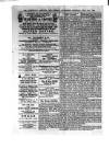 Commercial, Shipping & General Advertiser for West Cornwall Saturday 18 July 1868 Page 4