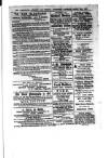 Commercial, Shipping & General Advertiser for West Cornwall Saturday 15 August 1868 Page 3