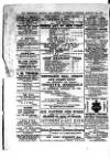 Commercial, Shipping & General Advertiser for West Cornwall Saturday 02 January 1869 Page 2