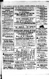 Commercial, Shipping & General Advertiser for West Cornwall Saturday 02 January 1869 Page 3