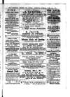 Commercial, Shipping & General Advertiser for West Cornwall Saturday 10 April 1869 Page 3
