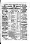 Commercial, Shipping & General Advertiser for West Cornwall Saturday 17 July 1869 Page 3
