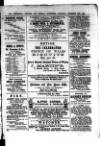 Commercial, Shipping & General Advertiser for West Cornwall Friday 24 December 1869 Page 3