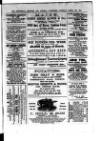 Commercial, Shipping & General Advertiser for West Cornwall Saturday 12 March 1870 Page 3