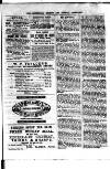 Commercial, Shipping & General Advertiser for West Cornwall Saturday 02 April 1870 Page 3