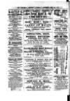 Commercial, Shipping & General Advertiser for West Cornwall Saturday 07 May 1870 Page 2