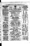 Commercial, Shipping & General Advertiser for West Cornwall Saturday 14 May 1870 Page 3