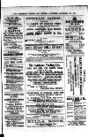 Commercial, Shipping & General Advertiser for West Cornwall Saturday 10 September 1870 Page 3