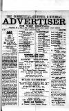 Commercial, Shipping & General Advertiser for West Cornwall Saturday 25 January 1873 Page 1