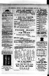Commercial, Shipping & General Advertiser for West Cornwall Saturday 13 June 1874 Page 2