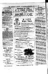 Commercial, Shipping & General Advertiser for West Cornwall Saturday 05 June 1875 Page 2