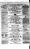 Commercial, Shipping & General Advertiser for West Cornwall Saturday 02 September 1876 Page 2