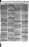 Commercial, Shipping & General Advertiser for West Cornwall Saturday 02 September 1876 Page 3