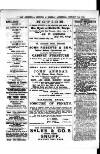 Commercial, Shipping & General Advertiser for West Cornwall Saturday 03 January 1880 Page 4