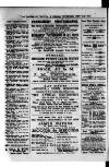 Commercial, Shipping & General Advertiser for West Cornwall Saturday 19 June 1880 Page 4