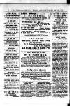 Commercial, Shipping & General Advertiser for West Cornwall Saturday 21 February 1885 Page 2