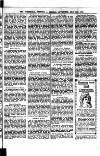 Commercial, Shipping & General Advertiser for West Cornwall Saturday 11 May 1895 Page 3