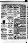 Commercial, Shipping & General Advertiser for West Cornwall Saturday 27 March 1897 Page 2