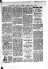 Commercial, Shipping & General Advertiser for West Cornwall Saturday 01 April 1899 Page 3