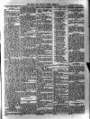 Bray and South Dublin Herald Saturday 10 January 1903 Page 13