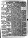 Bray and South Dublin Herald Saturday 31 January 1903 Page 5