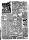 Bray and South Dublin Herald Saturday 25 July 1903 Page 9