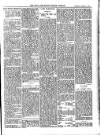 Bray and South Dublin Herald Saturday 09 January 1904 Page 11