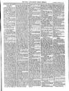 Bray and South Dublin Herald Saturday 30 January 1904 Page 7