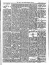 Bray and South Dublin Herald Saturday 30 January 1904 Page 13