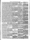 Bray and South Dublin Herald Saturday 19 March 1904 Page 7