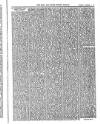 Bray and South Dublin Herald Saturday 12 November 1904 Page 3