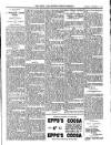 Bray and South Dublin Herald Saturday 19 November 1904 Page 11