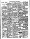 Bray and South Dublin Herald Saturday 17 December 1904 Page 9