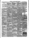 Bray and South Dublin Herald Saturday 17 December 1904 Page 11