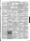 Bray and South Dublin Herald Saturday 14 March 1908 Page 9