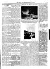 Bray and South Dublin Herald Saturday 04 July 1908 Page 5