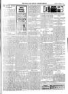 Bray and South Dublin Herald Saturday 07 November 1908 Page 5