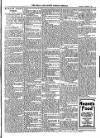 Bray and South Dublin Herald Saturday 07 November 1908 Page 11