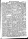 Bray and South Dublin Herald Saturday 06 February 1909 Page 9